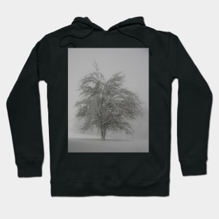 Lone tree in the snow Hoodie